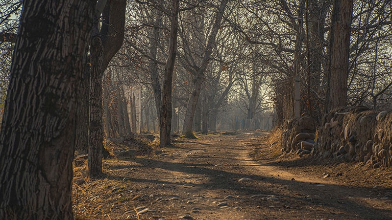Solo traveler exploring Iran